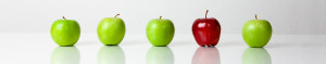 The Training Tree - Business Management Training Service